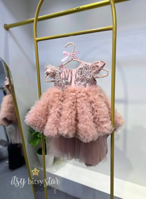 524552785_1328976395901097_8873965054210474634_n Snowbelle Designer Dress