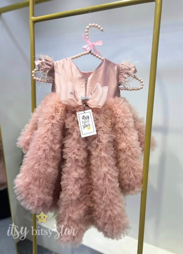 525304136_1328976439234426_934386838746055620_n Snowbelle Designer Dress